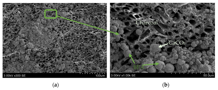 Resulting artificial aggregate NR9 surface, (×)300 (a); and more detailed SEM photo (×)1000 (b).
