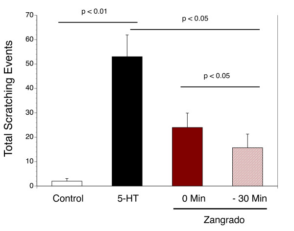 Effects of Zangrado on 5-HT evoked scratching: Comparison between pretreatment and immediate post-treatment. Scratching episodes in response to saline injection (control, n = 5) and 5-HT (black column, n = 11) with vehicle treatment (50 μl of Dermabase crème) or the effects of 50 μl of zangrado (1%) crème applied 30 min (-30 Min column, n = 10) before the sc injection of 5-HT or immediately after (0 Min column, n = 8). The statistical difference between groups is noted in the figure.