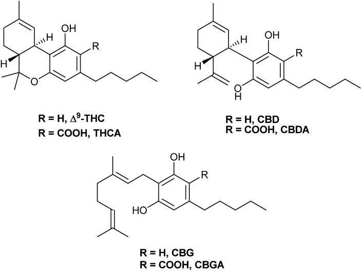 Structures of the investigated cannabinoids in this study: Δ9-THC, THCA, CBD, CBDA, CBG and CBGA.