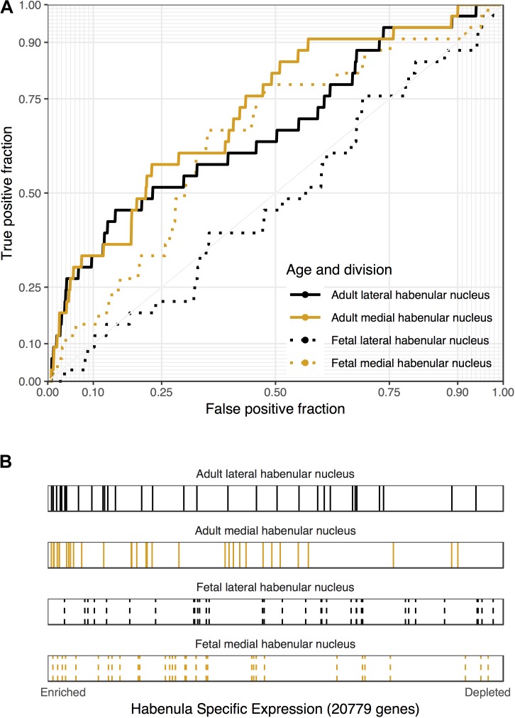 Associations between genes that are down-regulated in the blood of people with high levels of hedonic well-being and habenular specific expression. (A) ROC curves showing the proportion of hedonia down-regulated genes that overlap (y-axis, true positive fraction) in varying lengths of the habenula specific gene rankings (approximated by the x-axis, false positive fraction). (B) Distributions of the hedonia down-regulated genes across the habenular specific gene rankings with each gene representing a single colored line. Color marks the lateral (black) and medial (orange) habenula rankings. Dashed lines are used for the fetal datasets.
