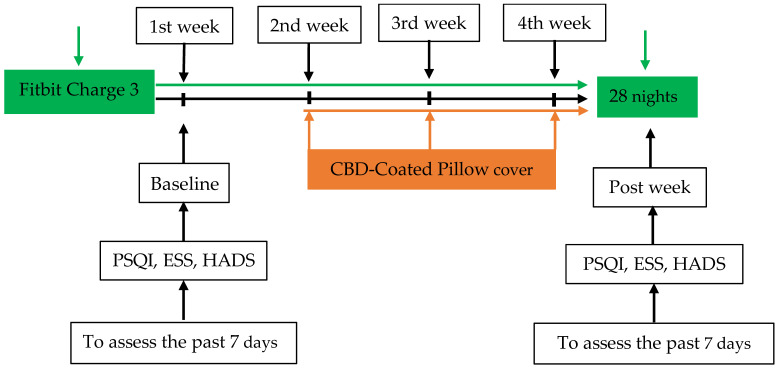 Flowchart illustrating the study design of CBD-coated pillow cover.