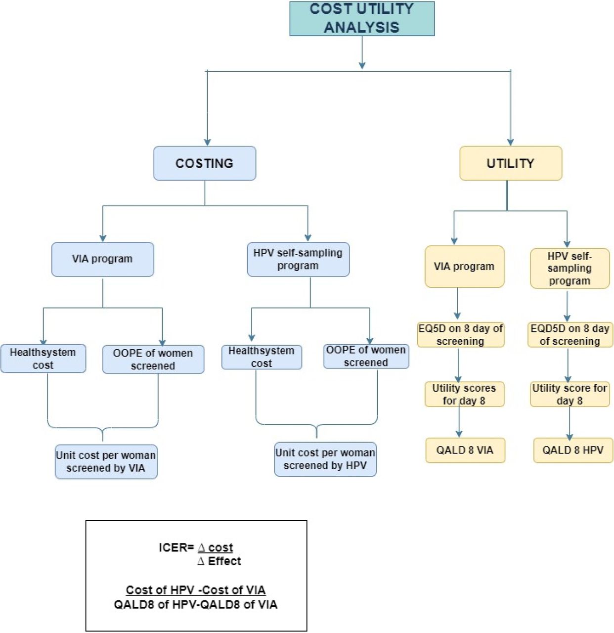 Illustration of the Study Work Flow