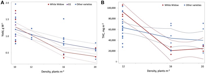 Effect of plant density on yield per W and THC per square meter. Yield per W (A) and THC per square meter (B) declined with increasing plant density. These effects were stronger for White Widow than for other varieties of cannabis. G1 had higher yields per W compared to other varieties at a plant density of 10. Plant density had a strong (|r| > 0.7) positive correlation with maximum temperature during cultivation and a strong negative correlation with the duration of the vegetative photoperiod.
