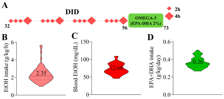Schematic representation of the experimental timeline, total EtOH intake, BEC, and EPA+DHA intake. (A) Male C57BL/6J mice were subjected to a 4 week DID protocol during adolescence (PND 32–56). The mice were given free access to 20% (v/v) EtOH each week for 2 and 4 h. During withdrawal (PND 56–73), half of the mice were provided with an omega-3-enriched diet. (B) The total EtOH intake was 2.35 ± 0.11 g/kg/h (n = 18). (C) The BEC measured on the final day of EtOH exposure was 72.68 ± 3.78 mg/dL (n = 18). (D) The average daily intake of EPA+DHA was 0.36 ± 0.01 g/kg/day (n = 30).
