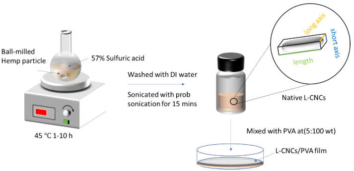 Schematic of fabricating lignin–cellulose nanocrystals at 45 °C and 10 hr hydrolysis time (L-CNCs10) and its subsequent L-CNCs/PVA (5 wt. %) film.