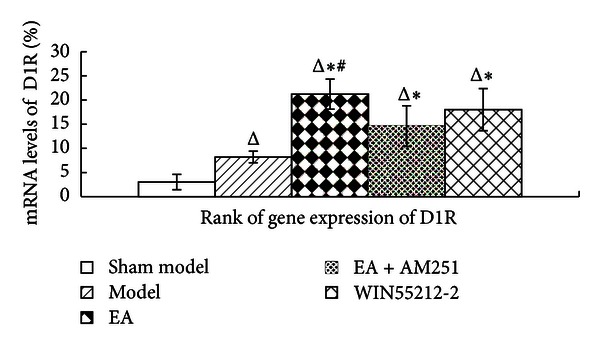 Rank of D1 receptor gene expression in the corpus striatum in the indicated groups. The data are presented as mean ± SD (n = 5). Δ P < 0.05 versus sham-model group at the same time-point. *P < 0.05 versus model group at the same time-point. # P < 0.05 versus EA + AM251 group at the same time-point.