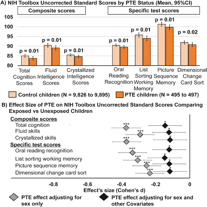 Children with PTE has poorer cognitive performance on the NIH toolbox tasks. (A) Shows estimated marginal means and 95 % confidence intervals (error bars) by PTE status of neurocognitive measures that showed significant PTE effect after adjustment for covariates, calculated using linear mixed effects models (LMMs) (p-values are from LMMs corrected for multiple comparison using false discovery rate); (B) plots the effect size (Cohen’s d) and 95 % confidence intervals of PTE on cognitive scores first adjusting for sex only (base model) and then for sex and other covariates (covariate-adjusted model). The covariate-adjusted model included: the youth’s sex, age and race, parental education, annual family income, prenatal exposures to marijuana and alcohol as fixed effects, and ABCD site ID as random effect. Negative effect sizes indicate a lower cognitive score when comparing children with PTE to controls. Asterisks used in (B) are for the significance of the group differences between children with PTE versus controls before and after adjustment for covariates in the LMMs, where: *p-value <0.05, **p-value <0.01 and ***p-value <0.001.