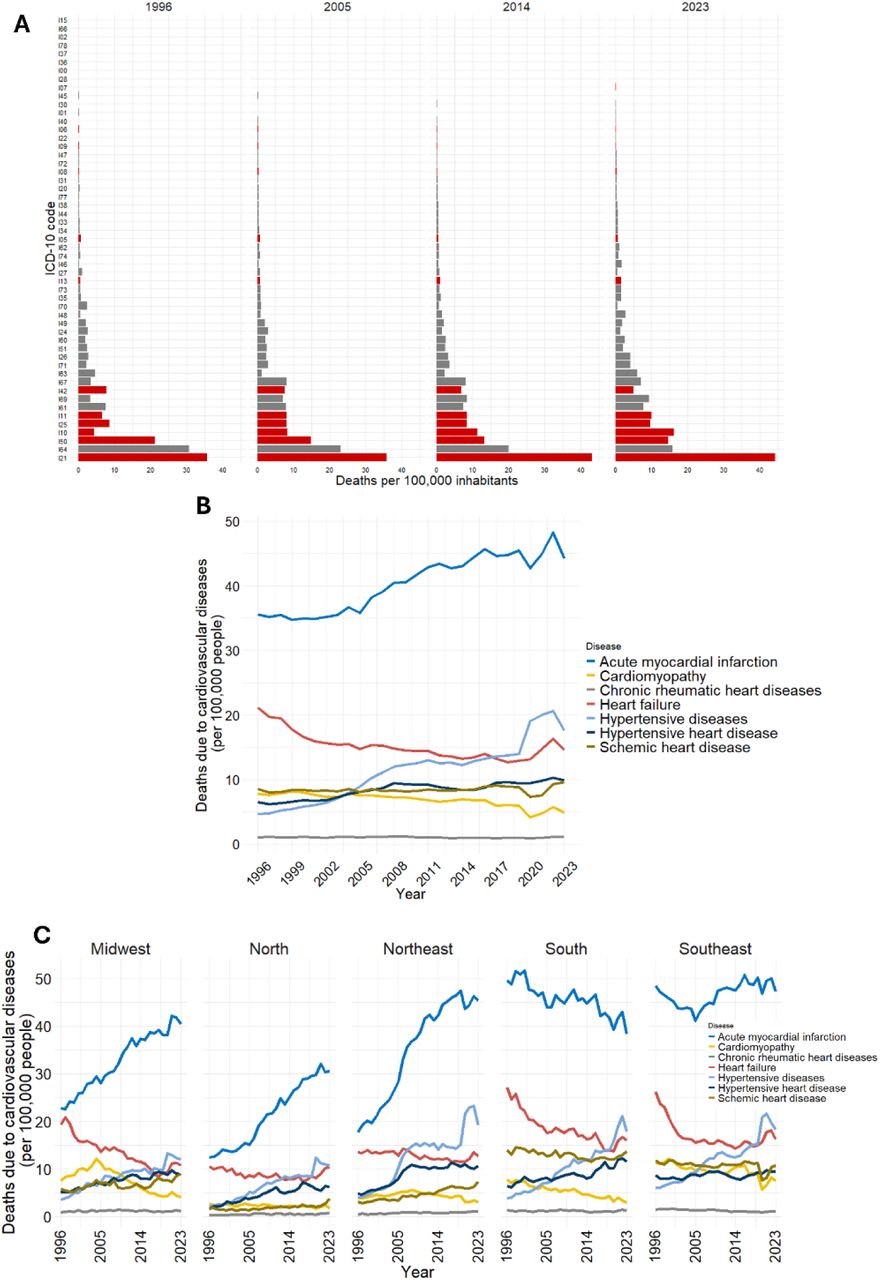 Temporal evolution of the leading causes of cardiovascular disease (CVD) mortality in Brazil (1996–2023).(a) Data was collected from the DATASUS platform and the classification was made according to the 10th revision of the International Classification of Diseases (ICD-10), Chapter IX Diseases of the circulatory system. Each code indicates a specific disease, as follows: I15 Secondary hypertension, I02 Rheumatic chorea, I66 Occlusion and stenosis of cerebral arteries not resulting in cerebral infarction, I78 Diseases of the capillaries, I37 Disorders of the pulmonary valve, I36 Non-rheumatic disorders of the tricuspid valve, I00 Rheumatic fever without mention of cardiac involvement, I28 Other diseases of the pulmonary vessels, I07 Rheumatic diseases of the tricuspid valve, I45 Other conduction disorders, I30 Acute pericarditis, I01 Rheumatic fever with cardiac involvement, I40 Acute myocarditis, I06 Rheumatic diseases of the aortic valve, I22 Recurrent myocardial infarction, I09 Other rheumatic diseases of the heart, I47 Paroxysmal tachycardia, I72 Other Aneurysms, I08 Multiple valve diseases, I31 Other pericardial diseases, I20 Angina pectoris, I77 Other diseases of arteries and arterioles, I38 Unspecified valve endocarditis, I44 Atrioventricular and left bundle branch block, I33 Acute and subacute endocarditis, I34 Non-rheumatic mitral valve disorders, I05 Rheumatic mitral valve diseases, I62 Other non-traumatic intracranial hemorrhages, I74 Arterial embolism and thrombosis, I46 Cardiac arrest, I27 Other forms of pulmonary heart disease, I13 Hypertensive heart and kidney disease, I73 Other peripheral vascular diseases, I35 Non-rheumatic aortic valve disorders, I70 Atherosclerosis, I48 Atrial flutter and fibrillation, I12 Hypertensive renal disease, I49 Other cardiac arrhythmias, I24 Other acute ischemic heart disease, I60 Subarachnoid hemorrhage, I51 Complications of heart disease and poorly defined heart conditions, I26 Pulmonary embolism, I71 Aortic aneurysm and dissection, I63 Cerebral infarction, I67 Other cerebrovascular diseases, I42 Cardiomyopathies, I69 Sequelae of cerebrovascular diseases, I61 Intracerebral hemorrhage, I11 Hypertensive heart disease, I25 Chronic ischemic heart disease, I10 Essential (primary) hypertension, I50 Heart failure, I64 Stroke, not specified as hemorrhagic or ischemic, and I21 Acute myocardial infarction. The graphs show the relationship between them every nine years. Only the diseases highlighted in red, corresponding to the most prevalent causes of CVD mortality, are further analysed and discussed in the manuscript. (b) Timeline of the seven most common causes of CVD death per 100,000 inhabitants, from 1996 to 2023. Acute myocardial infarction (I21) and hypertensive heart disease (I21) have become the most common causes of CVD death. Heart failure (I50) remains a concerning cause of death. (c) Number of deaths from the seven most common CVDs in Brazil per 100,000 inhabitants varies according to geographic region. All regions show an increase in mortality from acute myocardial infarction (I21), which is the most common cause of CVD death in all regions.