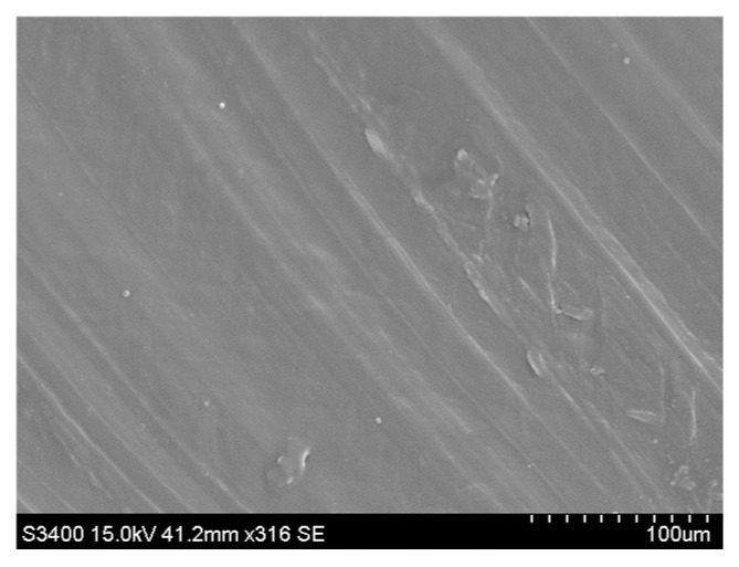 View of composite (PE_C) breakthrough. Scanning electron microscope (SEM), 250 magnification.