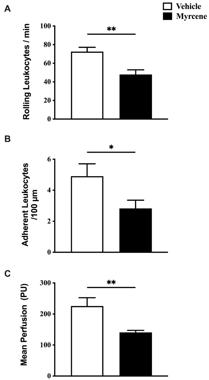 Inflammatory changes following chronic administration of myrcene to adjuvant monoarthritic knees. Repeated, local injection of myrcene decreased articular leukocyte rolling (A), adherence (B), and blood flow (C), at day 21 after monoarthritis induction. ** p < 0.01, * p < 0.05 Student’s t-test. Data are means ± S.E.M.