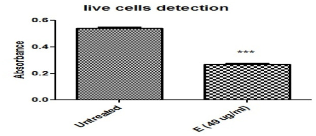 Ethanolic plant extract’s effects on HeLa cervical cancer cells are compared using the Crystal Violet Assay (*, ***) demonstrated the significant differences between the treated and untreated groups. Cell viability was evaluated using the crystal violet staining method on HeLa cell lines, and the IC50 value of each Cannabis sativa extract was employed for this purpose. Absorbance was measured on a microtiter plate at 540 and 595 nm.