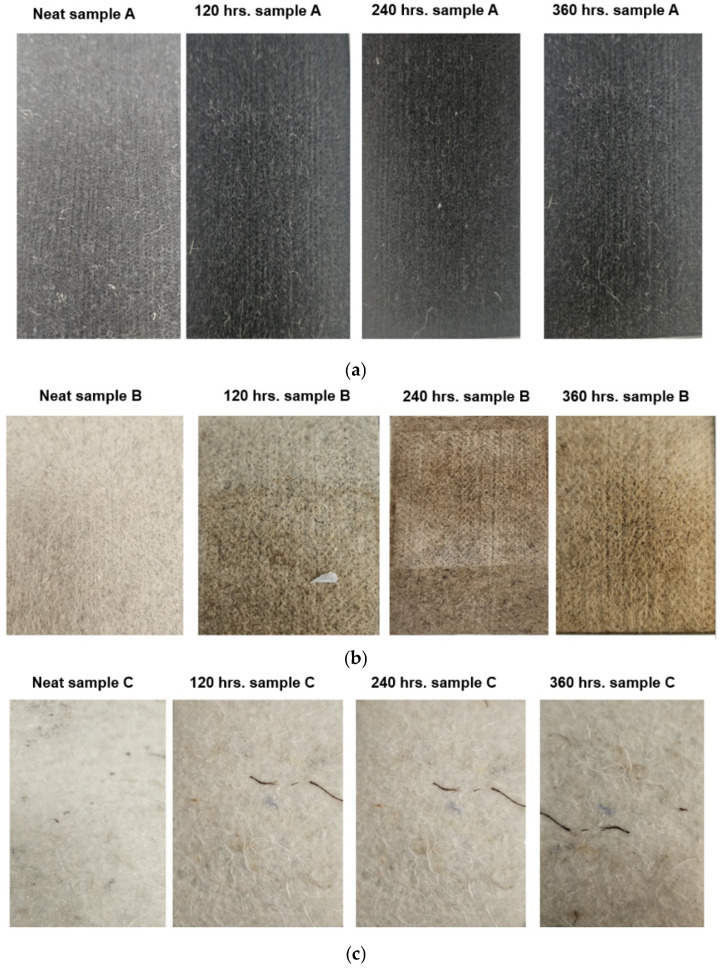 (a). RPET original (neat) and RPET exposed to 120, 240, and 360 h in the QUV weathering chamber. (b). Hemp original (neat) and hemp exposed to 120, 240, and 360 h in the QUV weathering chamber. (c). Shoddy original (neat) and shoddy exposed to 120, 240, and 360 h in the QUV weathering chamber.