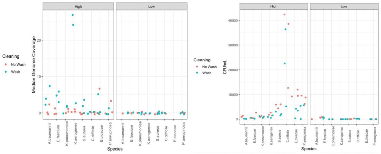 Influence of Handwash on DNA Abundance and ESKAPE+C Viability.Looking at all of the culturing and metagenome sequence data together, handwash (blue) tended to have an opposite effect on median genome coverage – increasing the amount of ESAKPE+C DNA yielded for sequencing (left panels) and decreasing viable the number of viable ESAKPE+C pathogens detected as CFU/mL in culture data (right panels). Conversely, no handwash (red) decreased DNA yield from the pathogens and resulted in more viable pathogen CFUs. This trend was only visible in the high spike-in scenarios (∼106 CFU per 9 cm2 coupon), as pathogens spiked in at low amounts (<104 CFU per 9 cm2 coupon) fell below the limit of detection with metagenomic sequencing. Culture data still picked up some signal in these low spike-in instances (1-904 pathogen CFU/mL after transfer for direct contact scenarios and 1-72 pathogen CFU/mL for indirect contact scenarios). Metagenomics detected pathogens for only the high spike-in direct no wash scenarios (average of ∼2,447 pathogen CFU/mL after transfer), while culture data detected pathogens in all high spike-in scenarios (95-42,400 pathogen CFU/mL after transfer for direct contact scenarios and 1-1,600 pathogen CFU/mL for indirect contact scenarios).