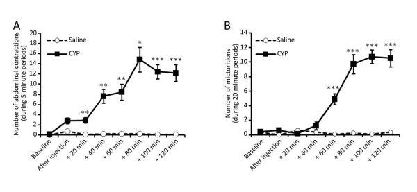 Behavior observed after injection of cyclophosphamide. A) Abdominal contractions observed during 5 min periods every 20 min post cyclophosphamide (CYP) or saline injection. B) Number of micturitions measured during 20 min periods every 20 min periods post CYP or saline injection. Results are mean ± SEM (Saline n = 8, CYP n = 11, **P < 0.01, ***P < 0.001, t-test).