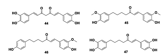 Chemical structures of neuroprotective curcuminoids 44-47.