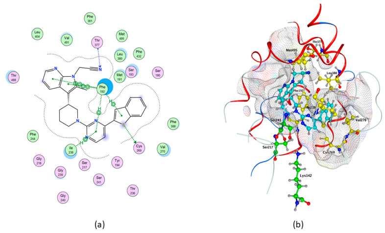 Best binding pose of QK5 within hFAAH Model1. (a) In the 2D structure the following details are shown: pi–H and pi–pi interactions, in green; backbone acceptor, in blue; solvent contact, in yellow. (b) In the 3D structure the following elements are reported as sticks: QK5, in cyan; catalytic triad, in green; all residues involved in the protein/ligand interaction, in yellow.