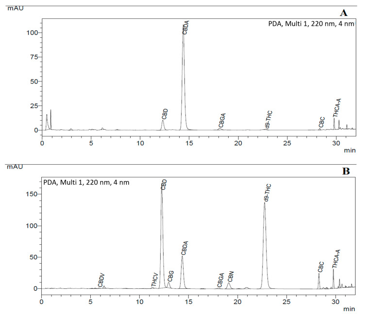 uHPLC profile of cannabis strains: (A) with dominant CBD + CBDA (around 90% w/w); and (B) with 55% w/w CBD+CBDA and 35% THC + THCA in the cannabinoid mixture.