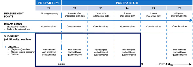 Assessment waves of the DREAM Study (prolongation into middle childhood planned) and its endocrine sub-study DREAMHAIR. Note. Boxed assessments are relevant to this investigation. This study used hair samples and DREAMHAIR questionnaires for the measurement points T1 (during pregnancy or shortly after birth; mothers: M = 21.47 days before birth, SD = 10.80; fathers: M = 18.64 days before birth, SD = 11.15; children: M = 9.82 days after birth, SD = 5.63), T2 (8 weeks after the anticipated birth date; mothers: M = 8.43 weeks after birth, SD = 1.38; fathers: M = 8.37 weeks after birth, SD = 1.34; children: M = 8.48 weeks after birth, SD = 0.81), T3 (14 months postpartum; mothers: M = 13.89 months after birth, SD = 0.64; fathers: M = 13.88 months after birth, SD = 0.64; children: M = 13.88 months after birth, SD = 0.57), and T4 (24 months postpartum; mothers: M = 23.94 months after birth, SD = 0.64; fathers: M = 23.96 months after birth, SD = 0.62; children: M = 23.90 months after birth, SD = 0.62) afor the present investigation female partners (n = 2) were pre-emptively excluded.