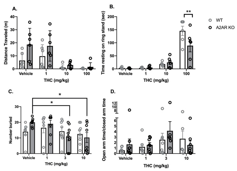 Comparison of some behavioral effects of THC in wild type (WT, open bars and gray symbols) and A2AR null (A2AR-KO, closed bars and black symbols) mice. (A) Effects of THC on locomotor activity in an open field. Mice were placed into a circular field for 15 min, and the distance moved was determined. (B) Effects of THC on cataleptic behavior in the ring stand assay. Sidak’s multiple comparison test was used to compare all groups to each other. (C) Effects of THC on the number of marbles buried. Dunnett’s multiple comparison test was used to compare each drug group to the vehicle control. (D) Effects of THC on the ratio of time spent in the open and closed arms of the EPM. A total of 8 mice were removed from this analysis because they entered the open arm and became immobile (1 mouse each from the WT/vehicle, WT/1 mg/kg, WT/3 mg/kg groups; 3 from the WT/10 mg/kg group and 2 from the KO/3 mg/kg group). Bars represent the mean, and vertical lines are the standard error of the mean. * p < 0.05 and ** p < 0.01.