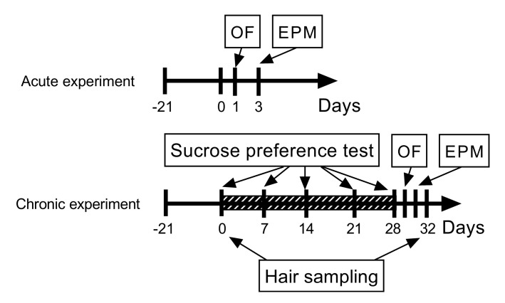Study timeline to illustrate the design of the acute and chronic experiments, the application of the chronic unpredictable mild stress (CUMS) protocol, and the timing of the behavioral assays and hair sampling. The diagonally striped box shows the 28-day stressing period preceded by a 21-day habituation to single housing. Stressors were applied twice daily starting at 10:00 and 17:00. Cannabidiol was administered in a single dose of 10 mg/kg by intraperitoneal injections in the acute experiment and daily, starting at day 0 until day 32, in the chronic experiment. Abbreviations: OF, open field test; EPM, elevated plus maze test.