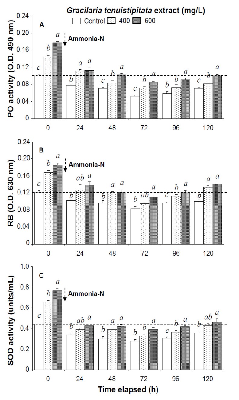 (A) Phenoloxidase activity; (B) respiratory burst (RB); and (C) superoxide dismutase (SOD) activity of white shrimp Litopenaeus vannamei immersed in seawater containing Gracilaria tenuistipitata extract at 0 (control), 400, and 600 mg/L for 3 h and then exposed to 5 mg/L ammonia-N for 24, 48, 72, 96, and 120 h. Data (mean ± SE) with different letters are significantly different (p < 0.05) among treatments