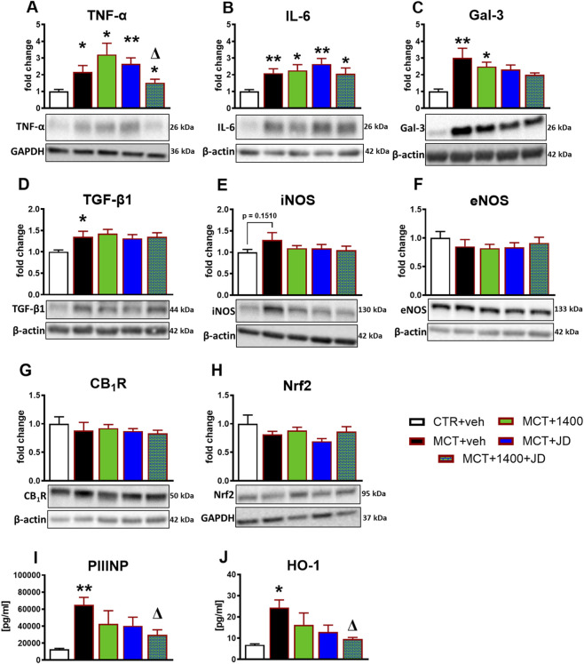 Figure with ten panels (A-J) displaying bar graphs and Western blots or ELISA data for various proteins and cytokines, including TNF-α, IL-6, Gal-3, TGF-β1, iNOS, eNOS, CB1R, Nrf2, PIIINP, and HO-1, comparing five experimental groups indicated by color-coded bars; statistical significance is denoted by asterisks and deltas above bars. Each graph shows fold change or concentration levels alongside representative immunoblots or quantitative data.