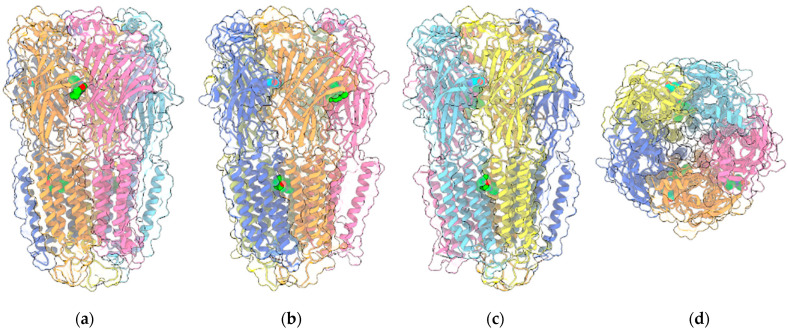 Four views of the 6HUP PDB entry corresponding to the complex of an α2β2γ GABAAR (ribbon plus transparent surface) with three molecules of diazepam (“sphere” representation with green C atoms) and two molecules of GABA (“sphere” representation with cyan C atoms). The two α1, two β3 and the single γ2L monomers are painted light/medium blue, yellow/orange and pink, respectively. Oxygen and nitrogen ligand atoms are painted red and blue, respectively. (a–c) are perpendicular to the channel axis and aligned either with the α1-γ2L interface (a), or the two β3-α1 interfaces (b,c). (d) shows the view along the channel axis. Other ligands included in the entry are omitted.