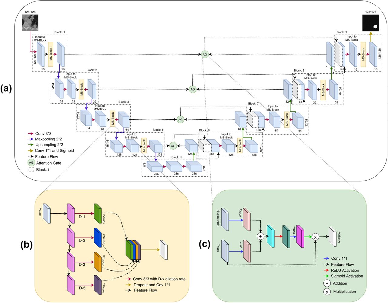 (a) The AMC-Net framework, with detailed representation of (b) of MS-block, and (c) Attention Gate (AG)
