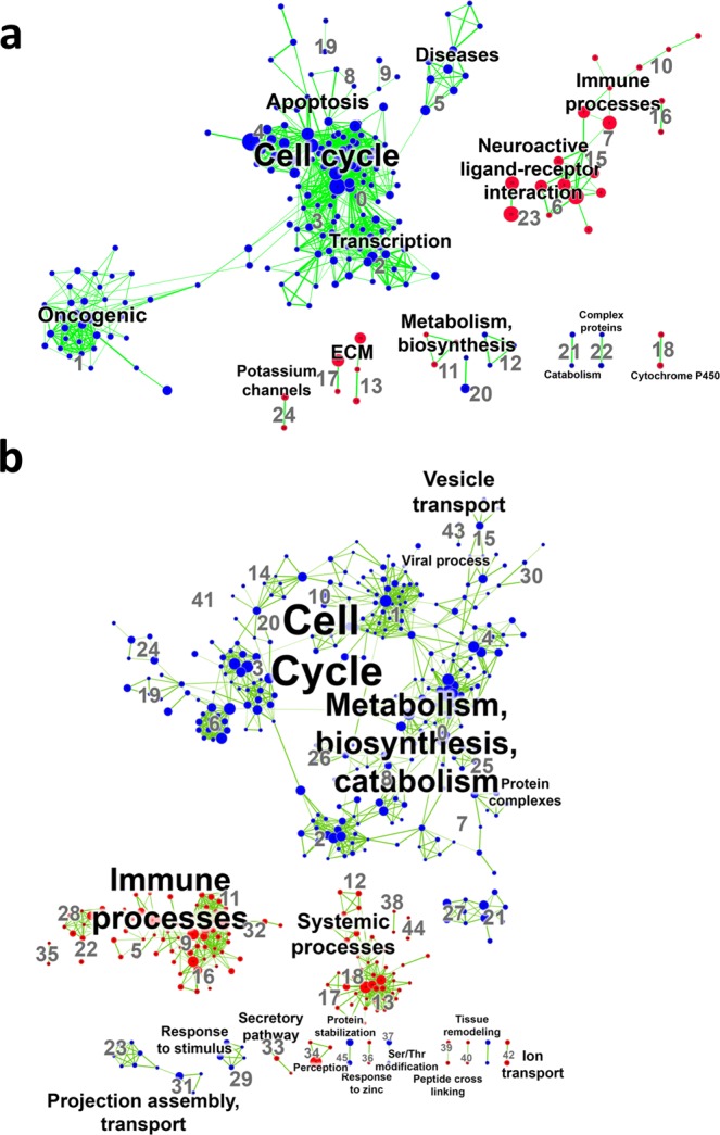 Enrichment maps of GSEA canonical pathways and biological processes comparing EVTs cultured as 3D spheroids and 2D monolayers. (a) Visualization of results of canonical pathway analyses and (b) biological process analyses. Every node (dot) represents a module of enriched genes in a particular pathway or process, with the size of the node representing number of genes. Red nodes indicate up-regulation in 3D spheroids compared to 2D monolayers and blue nodes represent down-regulation. Every edge (green line) represents overlap of genes between two pathways or processes, with the thickness of the line representing number of genes overlapping. Font size of annotated classification reflects number of modules within that classification group. Significance determined by FDR p-value < 0.05 and absolute fold change ≥2.