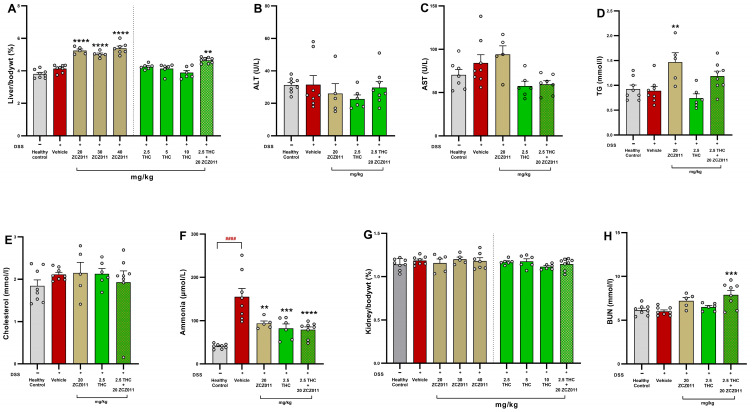 Effects of ZCZ011 and THC alone or in combination on liver and kidney function parameters. The figure illustrates the effects of treatments in liver and kidney function parameters. (A) Liver-to-body weight ratio (%). (B) Plasma ALT levels (U/L). (C) Plasma AST levels (U/L). (D) Plasma TG levels (mmol/L). (E) Plasma cholesterol levels (mmol/L). (F) Plasma ammonia levels (μmol/L). (G) Kidney-to-body weight ratio (%). (H) Plasma BUN levels (mmol/L). Data are presented as mean ± SEM. Statistical significance was determined using one-way ANOVA followed by Dunnet post hoc test. #### p < 0.0001 versus healthy control; ** p < 0.01, *** p < 0.001, **** p < 0.0001 versus vehicle.