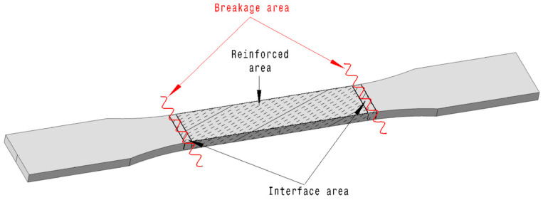 Breaking line for partially reinforced specimen.