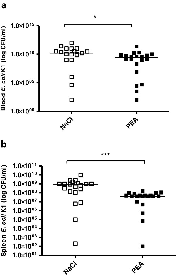 Bacterial concentrations in blood and spleen after intraperitoneal infection. Bacterial concentrations (CFU/ml) in blood (a) and spleen (b) 24 hours after intraperitoneal E. coli infection. Statistical analysis was performed by Mann–Whitney U-test. Data are shown as individual measurements and medians (***P < 0.001, *P < 0.05).