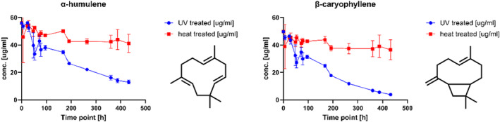 Concentration profile (n = 3) determined on a BGB‐wax column for α‐humulene and β‐caryophyllene.