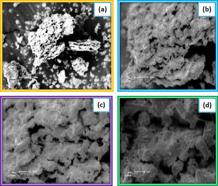 Scanning electron microscopic image of Lead Sulfide thin films from Avocado (Glycosmis cochinchinensis) Leaf extract at different PH values varied as (a) 2, (b) 4, (c) 6 and (d) 8.