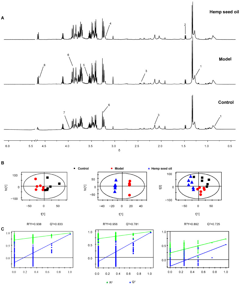 Serum metabonomic analysis. (A) Representative 1H NMR spectra of rat serum. Key: 1, VLDL/LDL; 2, Alanine; 3, Glutamine; 4, Choline; 5, Glycine; 6, Betaine; 7, Phenylalanine; 8, β−glucose. (B) OPLS−DA score plots. (C) The corresponding validation plots based on 200 times permutation tests. The OPLS−DA models were valid and not over-fitted as the R2 and Q2 values derived from the permuted data were lower than the original ones and all the blue regression lines of the Q2−points intersected the vertical axis below zero.