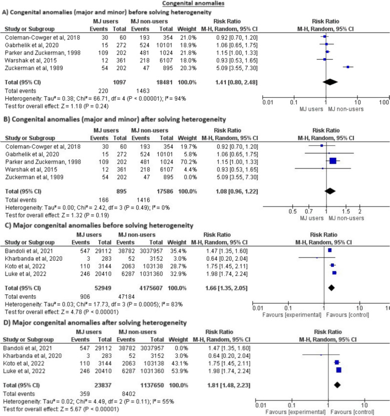 Meta-analysis of the incidence of congenital abnormalities