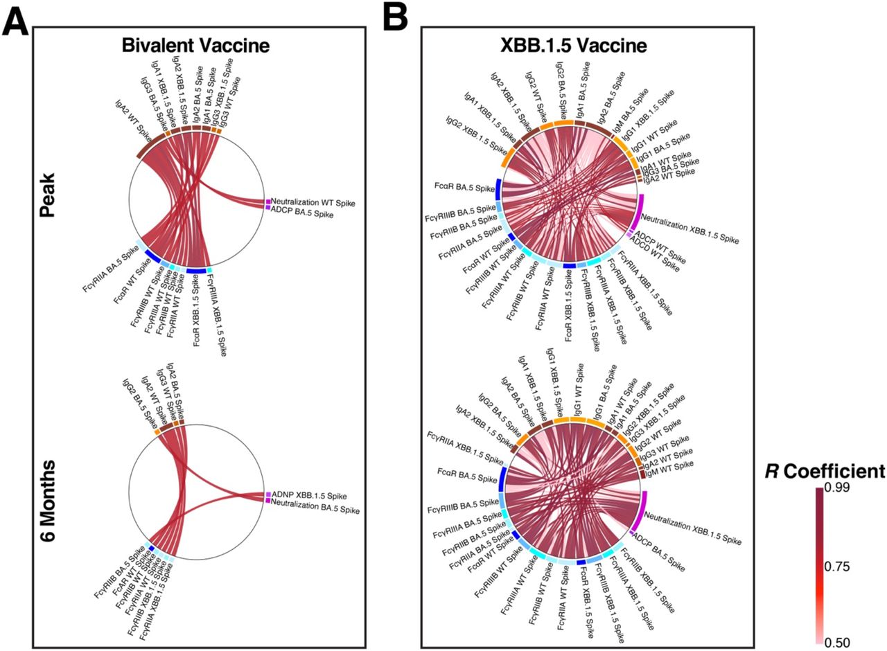 Antibody correlations and humoral immune response architecture induced by the bivalent WT+BA.5 or monovalent XBB.1.5 mRNA COVID-19 boosters.(A) Spearman’s correlation coefficients were calculated for pairwise comparisons for all systems serology assays in individuals who received the bivalent mRNA booster. Correlations whose false discovery rate (FDR) adjusted p-value < 0.05 were selected and plotted on a cord diagram for recipients of the 2022-2023 bivalent mRNA booster at peak (top) and 6-month post-vaccination responses. Binding antibody features are labeled next to their corresponding orange blocks, FcγR and FcαR-binding antibody features are labeled next to their corresponding blue blocks, and functional outputs are labeled next to their corresponding purple blocks. The size of the block is proportional to the number of directly co-correlated features. (B) Same as A, but in individuals who received the monovalent XBB.1.5 mRNA booster. Only pairings whose Spearman’s correlation coefficient was > 0.05 and FDR-adjusted p-value < 0.05 are shown. Legend for cord coloring is shown in the bottom right.