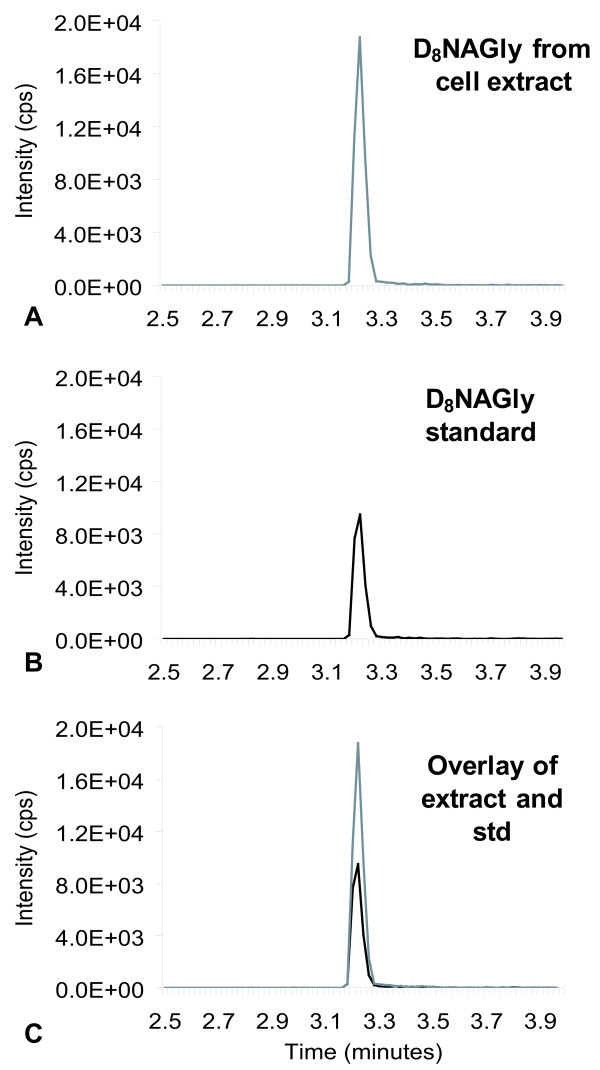 Chromatograms of the tandem mass spectrometric (MS) method for deuterium-labeled NAGly (D8NAGly) in which the parent mass in negative mode [368.3]- is paired fragment mass of glycine [74.0]-. A) Chromatogram of an MS scan for the 368.3/74 pair from RAW 267.4 cell extracts that were incubated with deuterium-labeled anandamide. B) Chromatogram of a scan for the 368.3/74 pair with the synthesized D8NAGly standard (std). C) Overlay of the two independent scans.