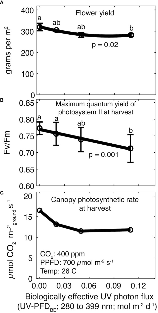 Effect of increasing UV-PFDBE on (A) flower yield, (B) Fv/Fm at harvest, and (C) canopy photosynthesis at harvest. Regression lines are a second-order polynomial model (A) or a first-order linear model (B) fit to the data. Points with different letters are significantly different according to a Tukey test. Error bars represent the standard deviation between reps (n = 2). No error bars are shown for canopy photosynthesis because measurements were not replicated. UV-PFDBE was calculated using weighting factors from Flint and Caldwell (2003).