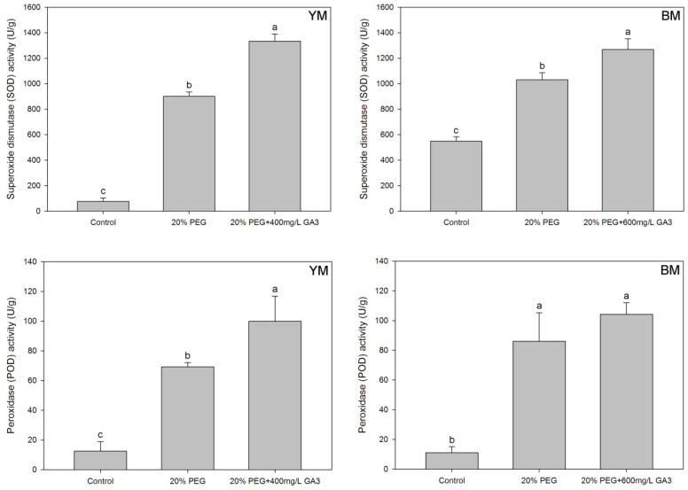 Effects of seed pre-treatment by GA3 on superoxide dismutase (SOD) and peroxidase (POD) activities in hemp seedlings under 20% PEG condition. Different lowercases above the bars show significant difference between treatments (p < 0.05). YM: industrial hemp cultivars ‘Yunma 1’; BM: industrial hemp cultivars ‘Bamahuoma’; Control: normal germination with no drought.
