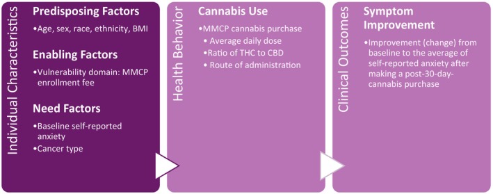 Gelberg–Andersen Model Applied to Cannabis Use and Self‐Reported Anxiety.