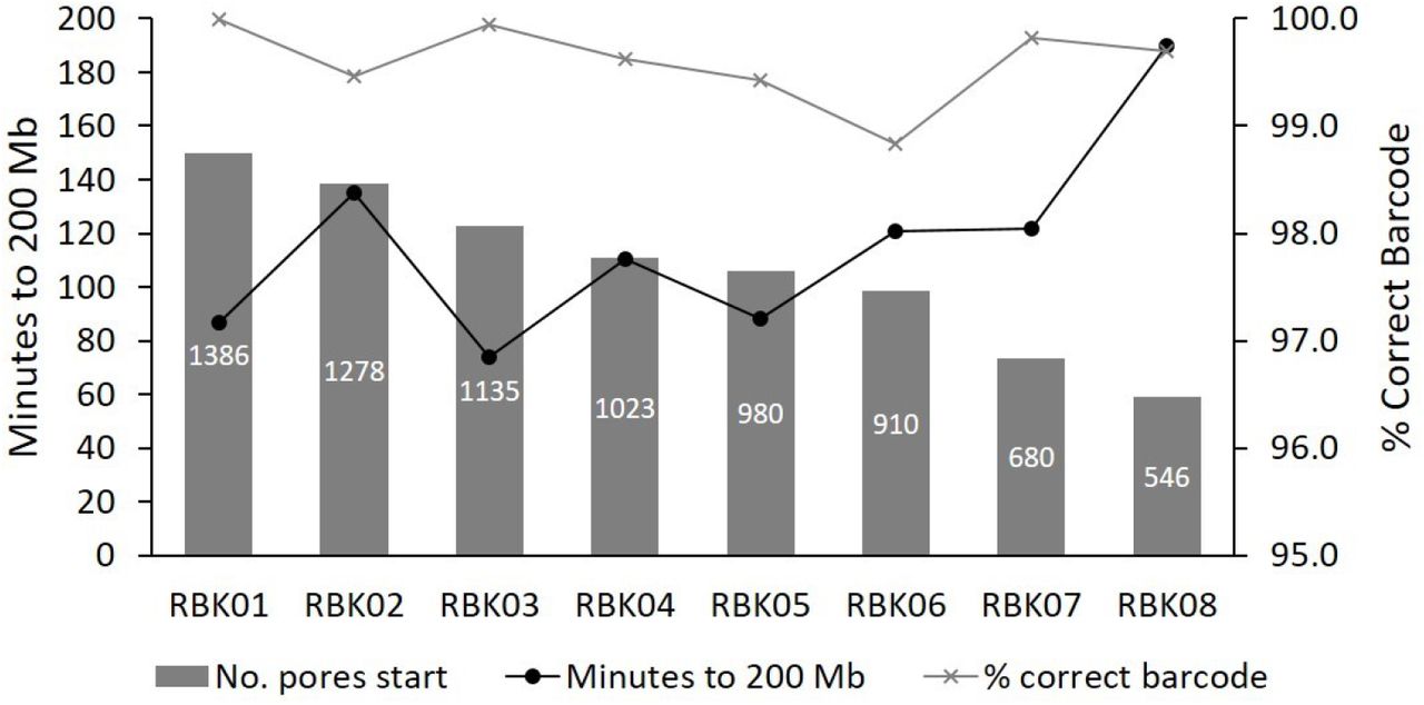 MinION flow cell progression when washing and re-using multiple times.The same 108 ng µl-1 E. coli sample was sequenced up to 200Mbp in 8 consecutive sequencing runs on a single flow cell. In between runs, the sequencing was ceased, and the flow cell was washed with wash kit EXP-WSH004-XL according to manufacturer’s instructions. The flow cell was either then stored over one or two nights with storage buffer, or the next sequencing run was immediately commenced.