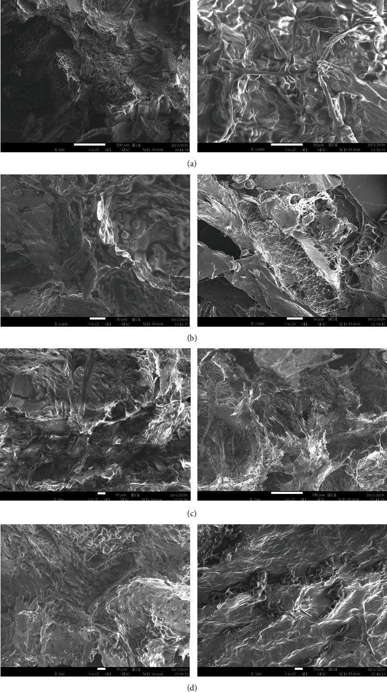 Scanning electron microscope (SEM) images of minced meat samples: (a, b, c, d) the samples produced according to formulations 1, 2, 3, and 4, respectively; (a-TG, b-TG, c-TG, d-TG) the samples produced according to formulations with added TG.