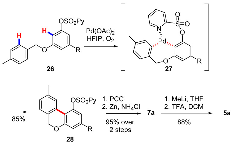 Second Wang’s synthesis of CBN (5a). R= n-pentyl.