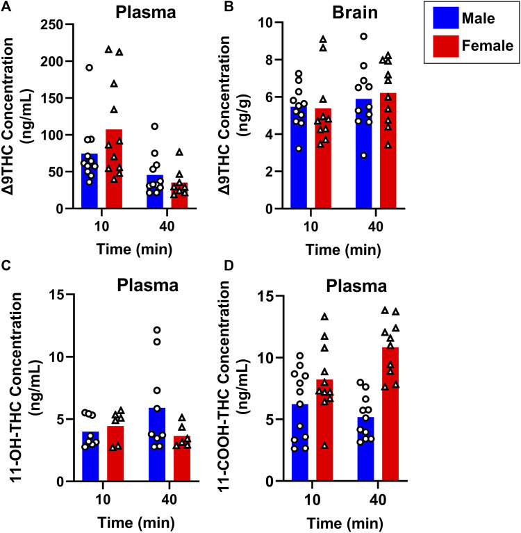 Effects of sex on Δ9THC and its metabolite concentrations after smoke exposure in young adult mice (Experiment 2). Collapsed across strains, there was no significant effect of Sex on plasma Δ9THC (A), brain Δ9THC (B), or plasma 11-OH-THC (C) concentrations. Significant sex differences were observed in plasma 11-COOH-THC concentrations, with females achieving greater levels than males (D).