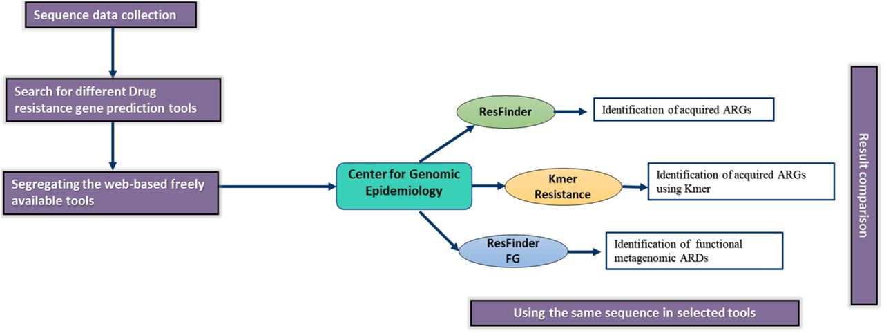 An overview of the AMR prediction tools pipeline