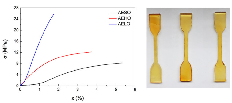 Stress-strain curves of AESO, AEHO, and AELO and specimens used for the tensile test.
