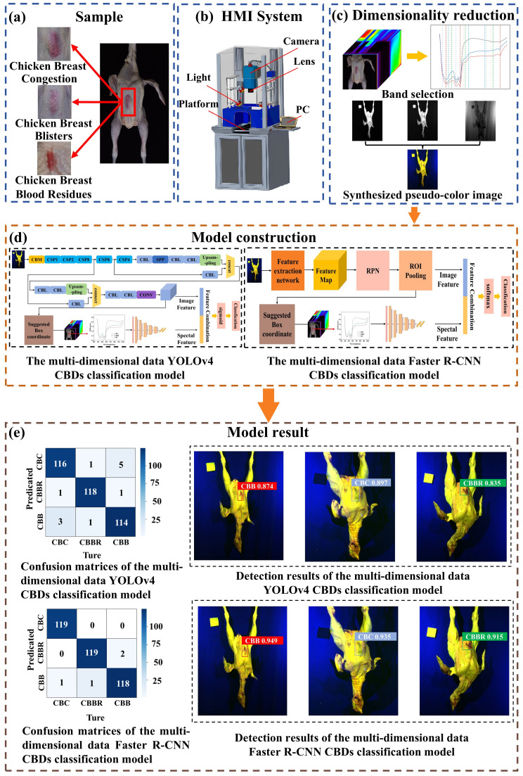 The main flow of the research: (a) sample preparation; (b) HSI system; (c) hyperspectral image dimensionality reduction; (d) model construction; (e) model result.
