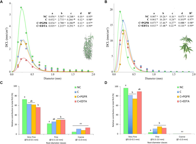 Diameter class length (DCL, mm cm–3) distribution of hemp (A) and giant reed (B) whole root systems and (C,D) relative contribution (%) of the very fine, fine, and coarse roots to the total root length density (RLD). Coefficients and statistics obtained from the regression of extreme value model are reported in the table where the statistical significance of the DCL curve parameters (a–d) were assessed through testing their standard errors using the t-statistics at P < 0.05. Different letters in graph (C,D) denote statistical differences (Tukey’s test, P = 0.05) among treatment for each root diameter classes.