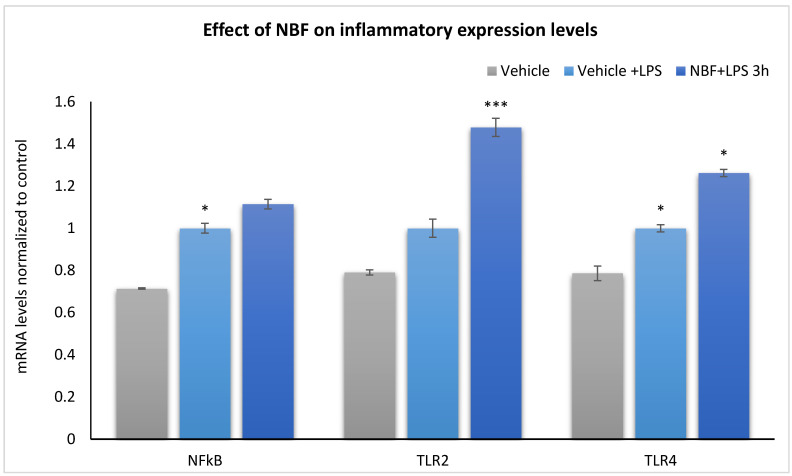 NBF upregulates mRNA expression levels of TLR2 and TLR4 but not NF-κB. RAW264.7 cells were treated with either Vehicle + LPS or NBF + LPS for 3 h. mRNA was extracted 3 h after treatment using an mRNA extraction kit and NF-κB, TLR2, and TLR4 mRNA were quantified and normalized to the glyceraldehyde 3-phosphate dehydrogenase (GAPDH)—mRNA expression levels are shown as the fold differences compared to untreated cells. Data are represented as the mean ± SEM of three independent experiments (three separate experiments in triplicates) and statistical analyses were performed using ANOVA followed by Bonferroni’s post hoc test. * p < 0.05, *** p < 0.001 vs. vehicle.